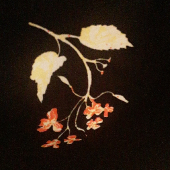 BAILEY BLUE BRAND / WOMANS DRESS / PLUS SIZED 1X - Picture 9 of 9